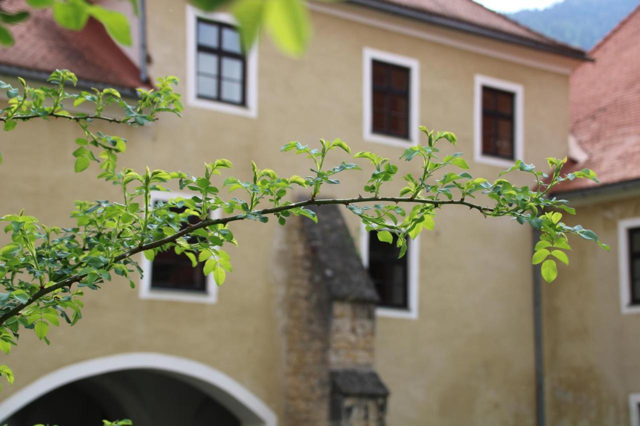 Hotel Im Stift Neuberg Neuberg an der Muerz Exterior photo